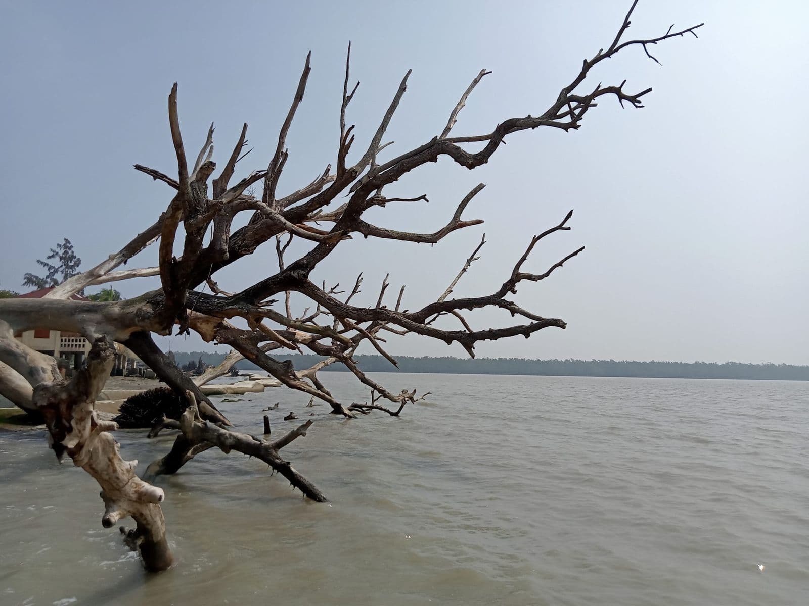 Sundarbans Three-Night Cruise