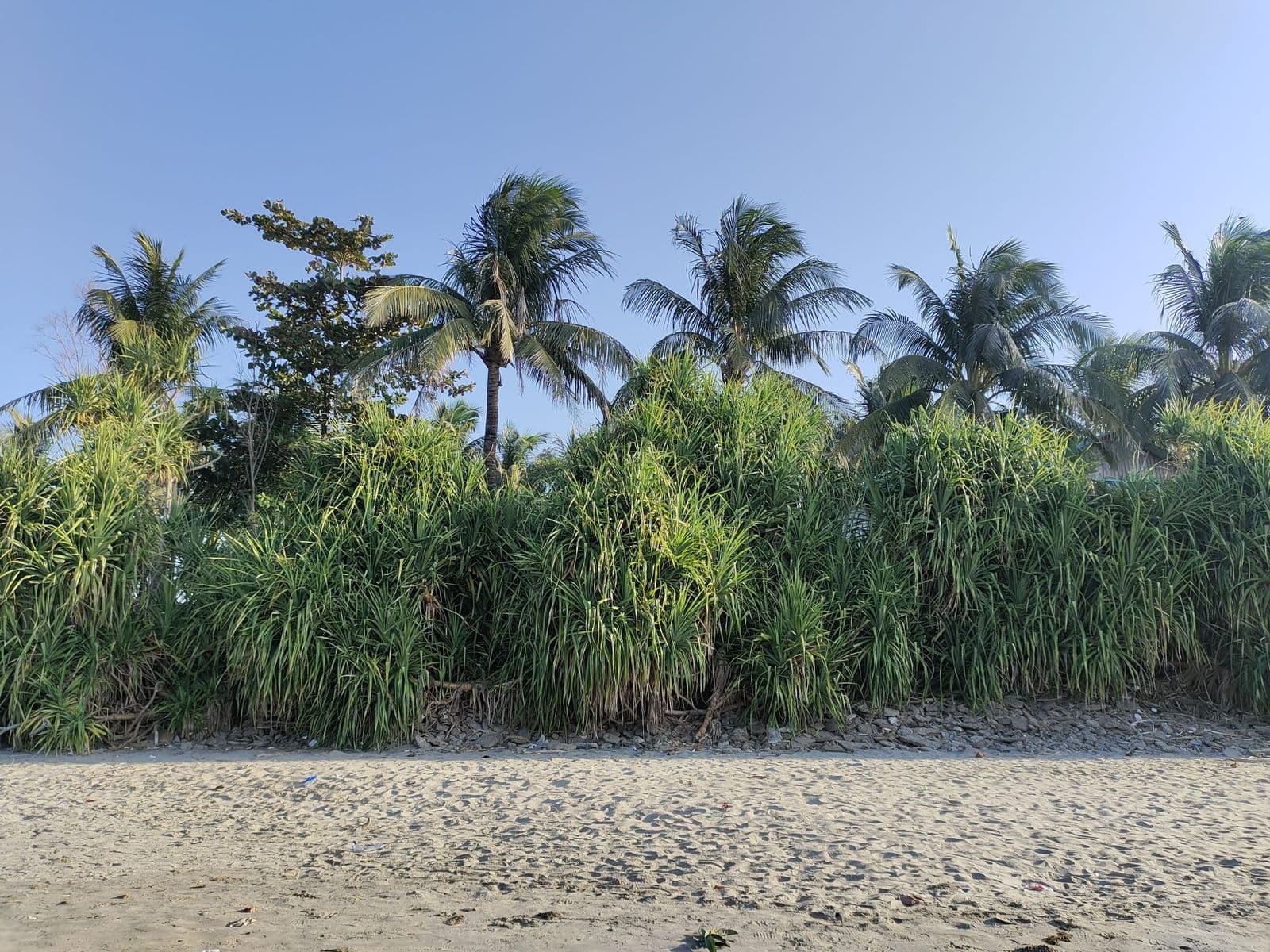Saint Martin's Island